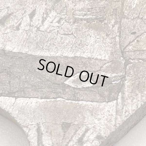 画像6: 【レア商品】アルタイ隕石 (6)