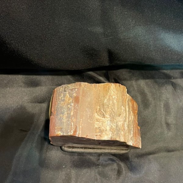 画像5: 珪化木 (5)