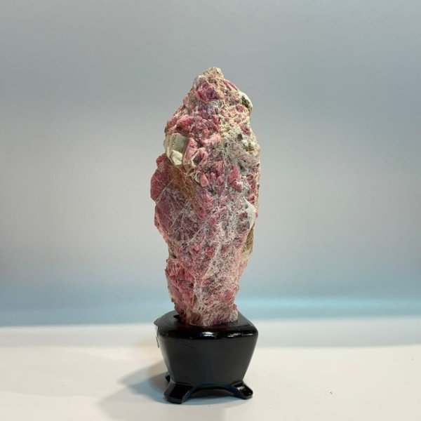 画像3: ロードナイト (3)