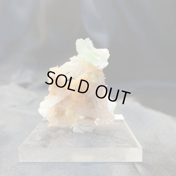 画像4: アポフィライト・スティルバイト (4)