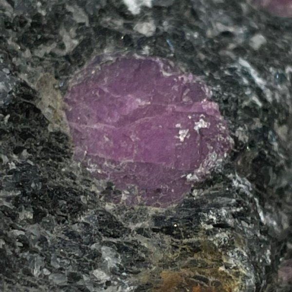 画像8: ルビー (8)