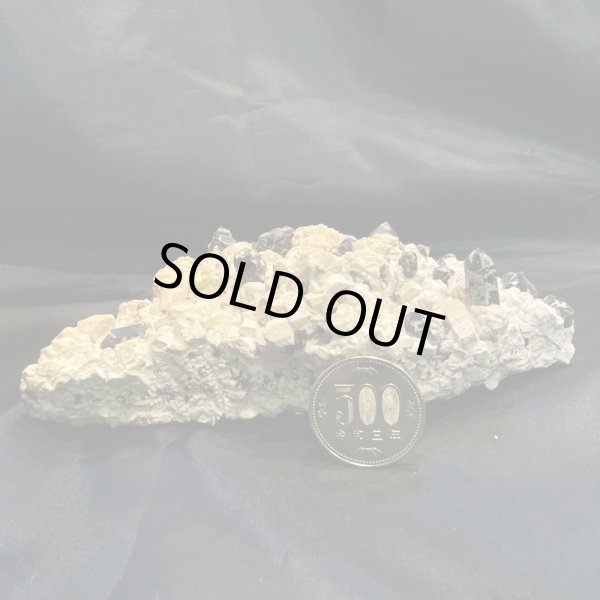 画像6: モリオン (6)