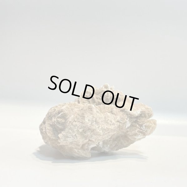 画像2: デザートローズ (2)