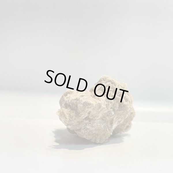 画像3: デザートローズ (3)