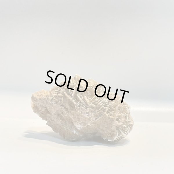 画像4: デザートローズ (4)