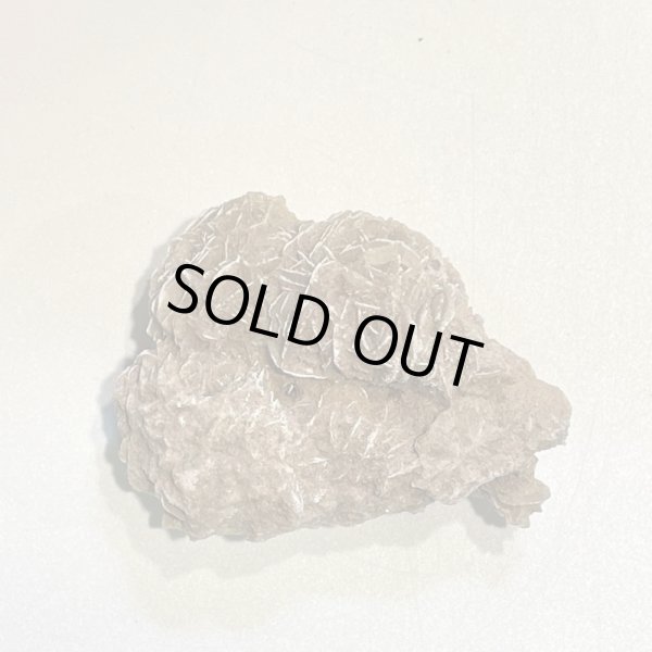 画像6: デザートローズ (6)