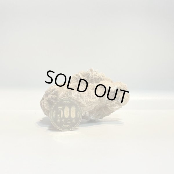 画像7: デザートローズ (7)