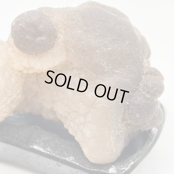 画像2: カルセドニー・モロッコ産 (2)