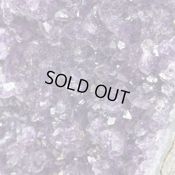 画像6: ウルグアイ産アメジストクラスター (6)