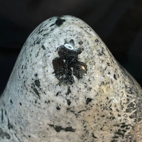 画像3: 時計石(ナポレオン石) (3)