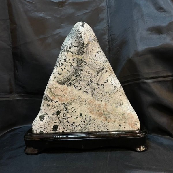 画像6: 時計石(ナポレオン石) (6)