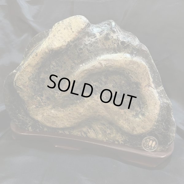 画像5: 蛇石（へび石） (5)