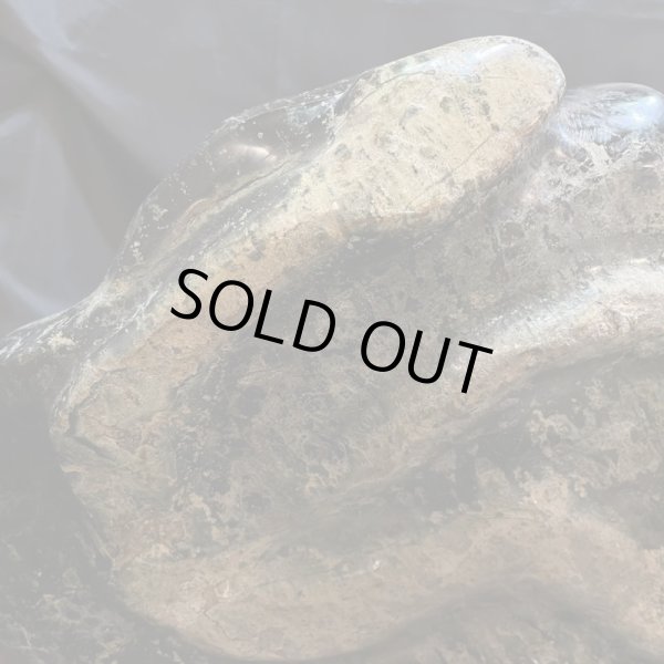 画像7: 蛇石（へび石） (7)