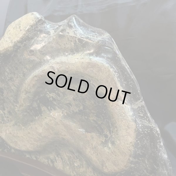 画像8: 蛇石（へび石） (8)