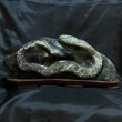 画像1: 蛇石（へび石） (1)