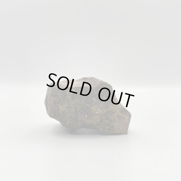 画像3: パープライト (3)