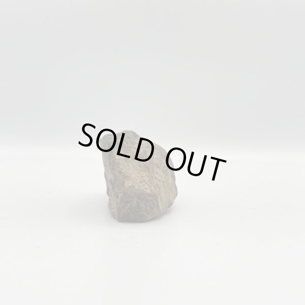 画像4: パープライト (4)