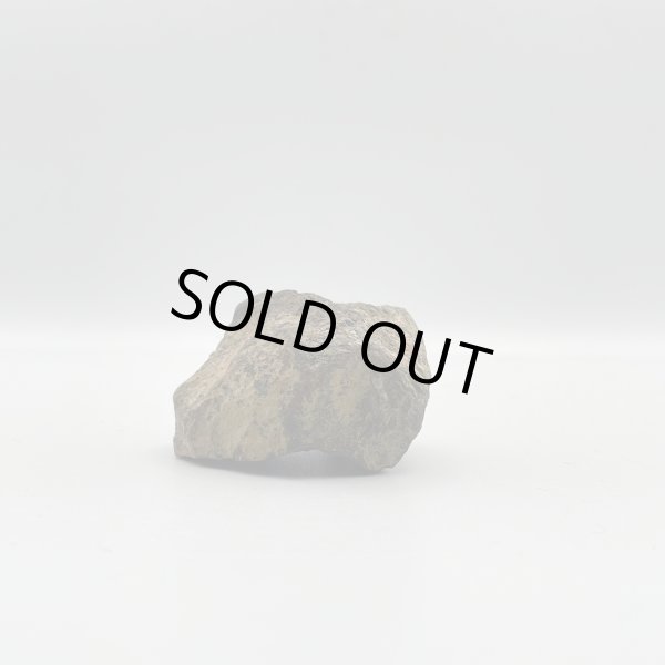 画像5: パープライト (5)