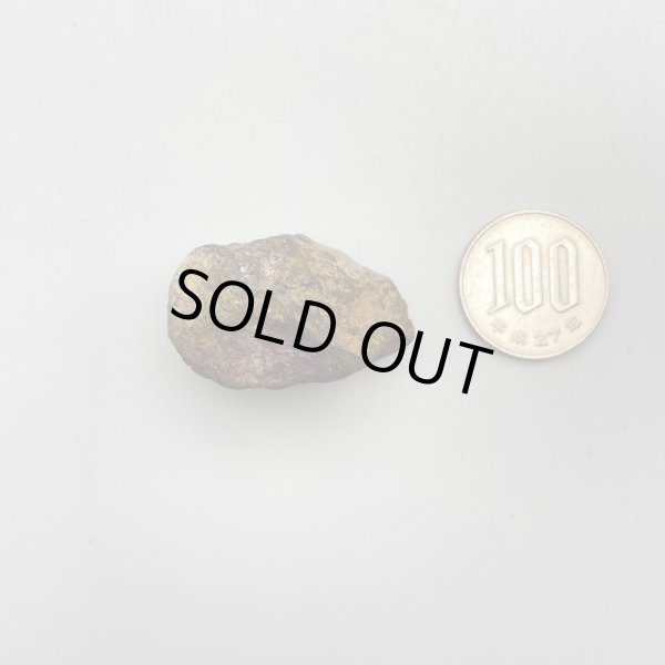 画像2: パープライト (2)