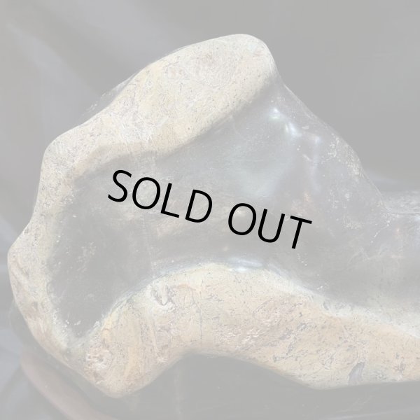 画像7: 蛇石（へび石） (7)