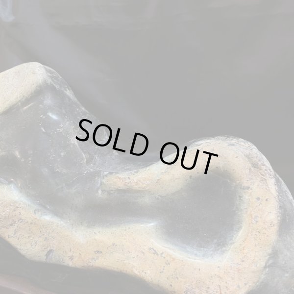 画像8: 蛇石（へび石） (8)