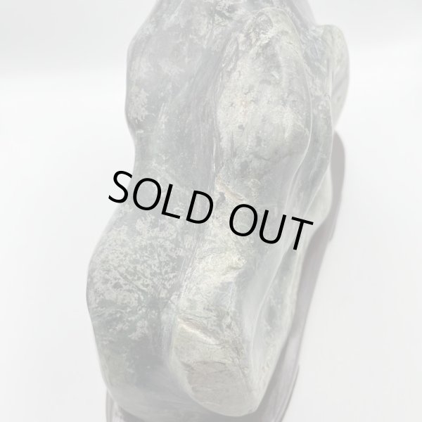 画像6: 蛇石（へび石） (6)