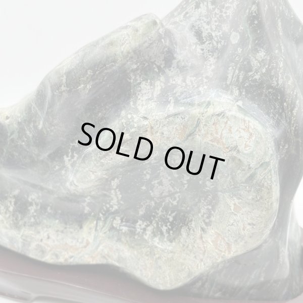 画像8: 蛇石（へび石） (8)