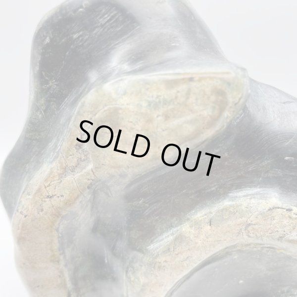 画像7: 蛇石(へび石) (7)