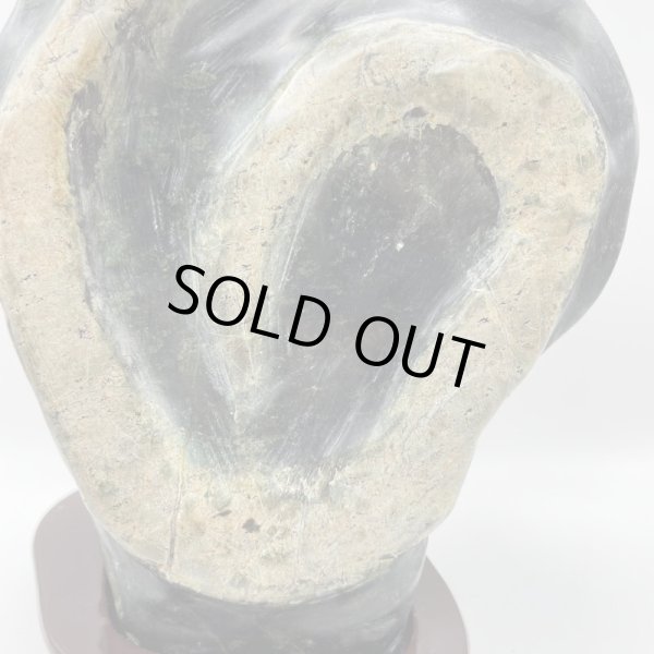 画像8: 蛇石(へび石) (8)