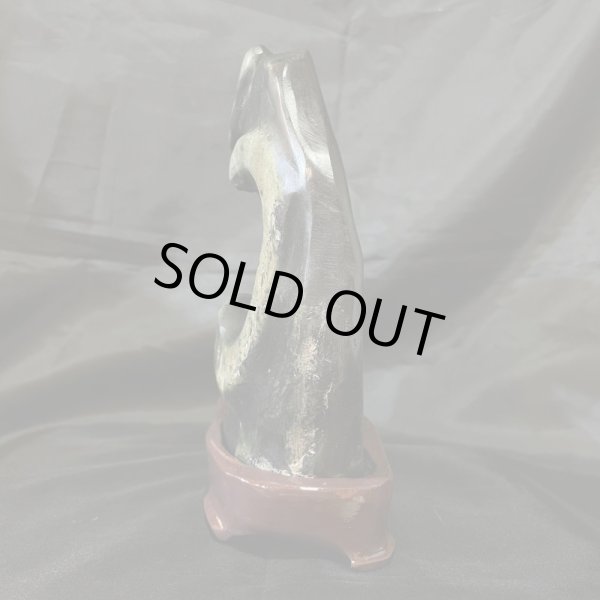 画像2: 蛇石（へび石） (2)