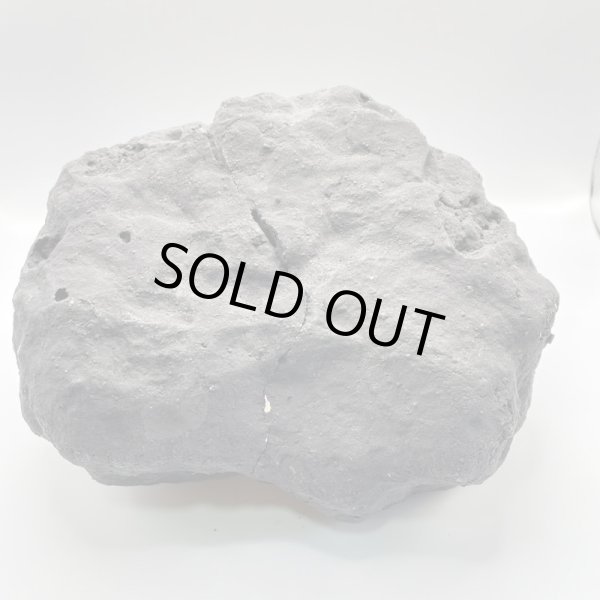 画像5: オーロラジオード (5)