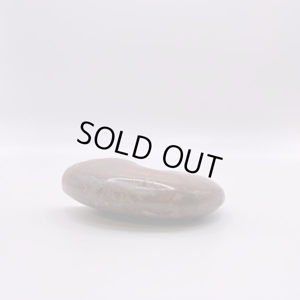 画像4: アンモナイト (4)