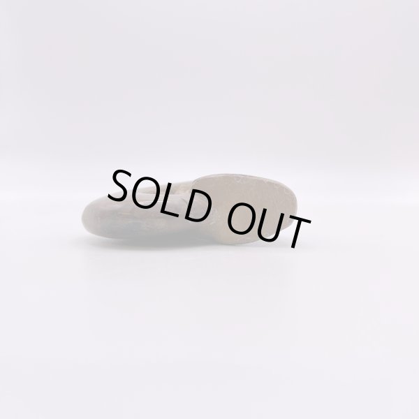 画像5: アンモナイト (5)