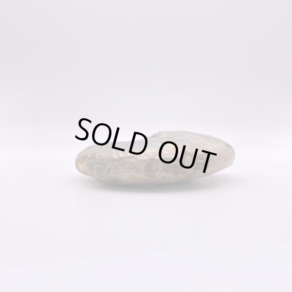 画像7: アンモナイト (7)