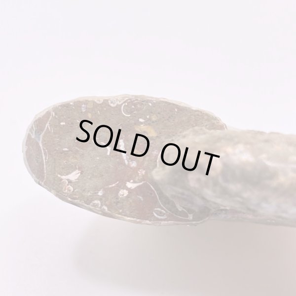 画像5: アンモナイト (5)