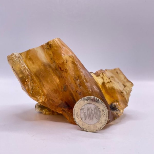 画像4: 虫入りコパル(琥珀) (4)