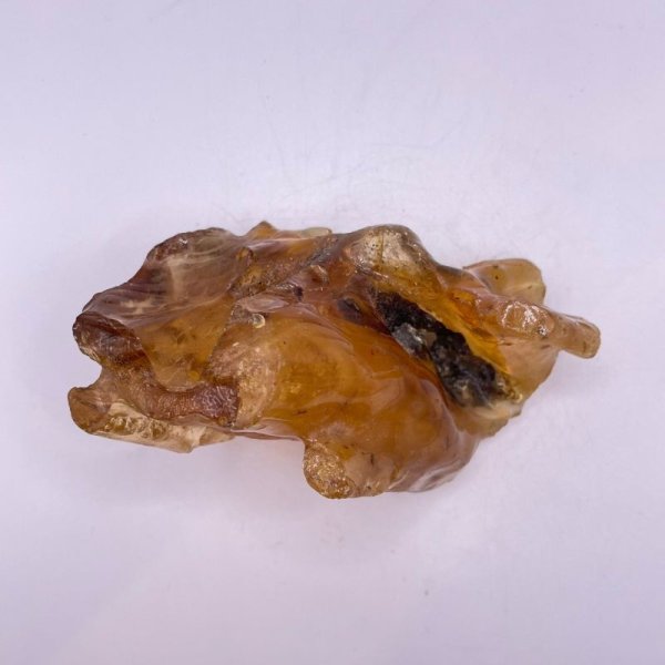 画像5: 虫入りコパル(琥珀) (5)