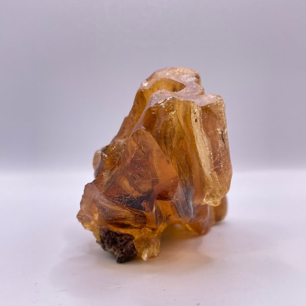 画像6: 虫入りコパル(琥珀) (6)