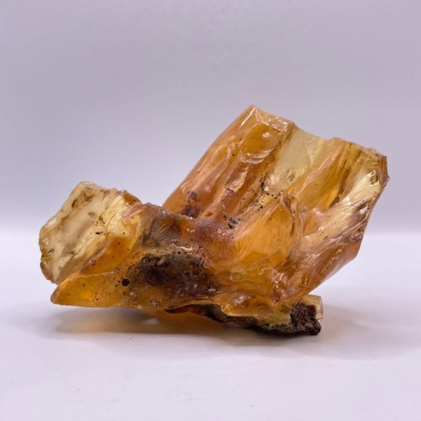 画像7: 虫入りコパル(琥珀) (7)