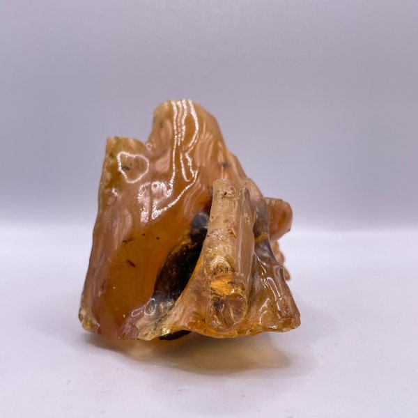 画像8: 虫入りコパル(琥珀) (8)