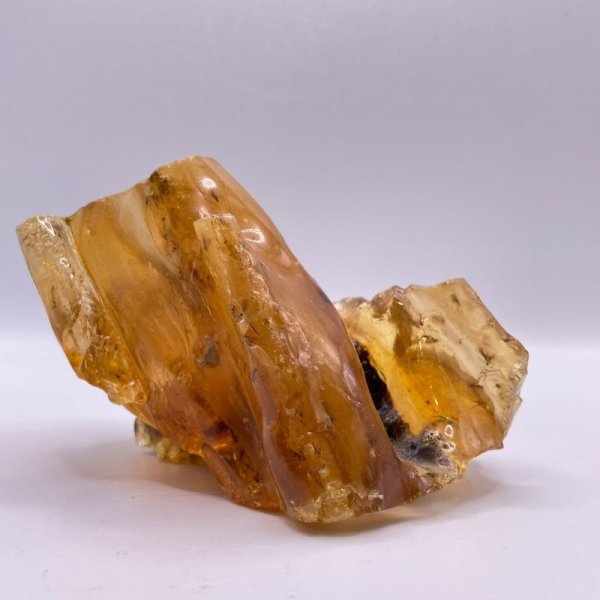 画像9: 虫入りコパル(琥珀) (9)