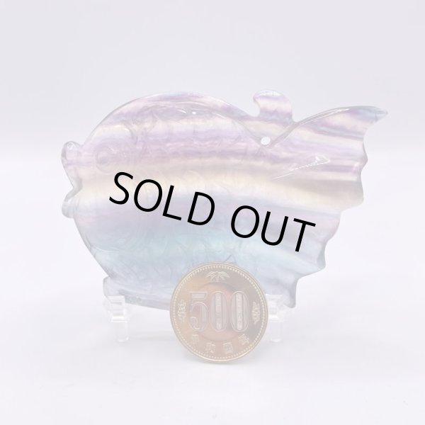 画像3: フローライト・魚 (3)