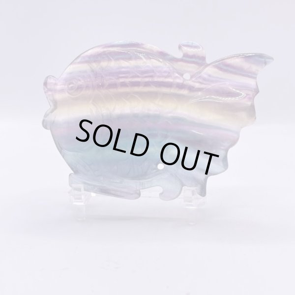 画像4: フローライト・魚 (4)