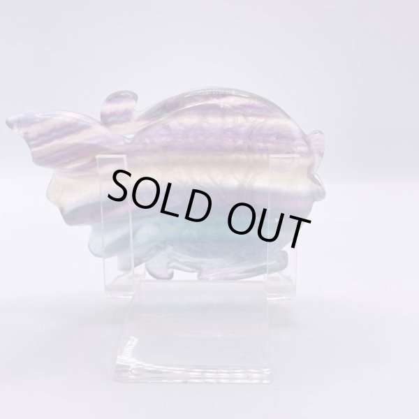 画像5: フローライト・魚 (5)