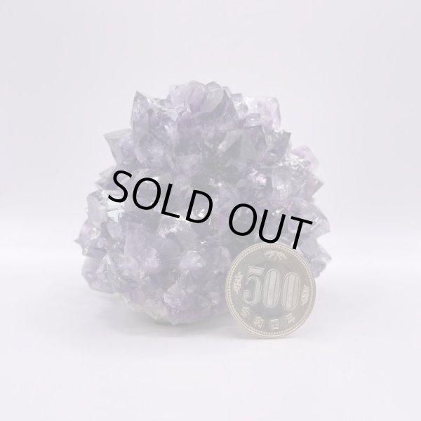 画像6: ウルグアイ産アメジストクラスター (6)