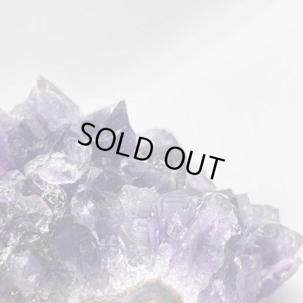 画像8: ウルグアイ産アメジストクラスター (8)