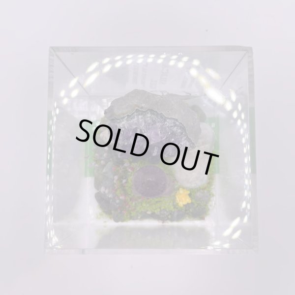 画像6: ジオラマ・フローライト観音・アメジストクラスター (6)