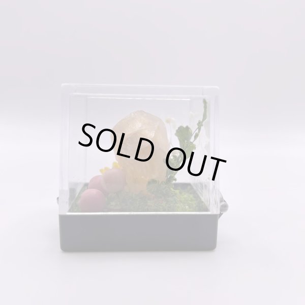 画像5: ジオラマ・オレンジカルサイト (5)