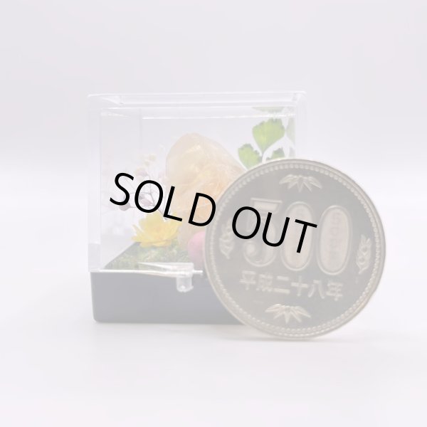 画像9: ジオラマ・オレンジカルサイト (9)