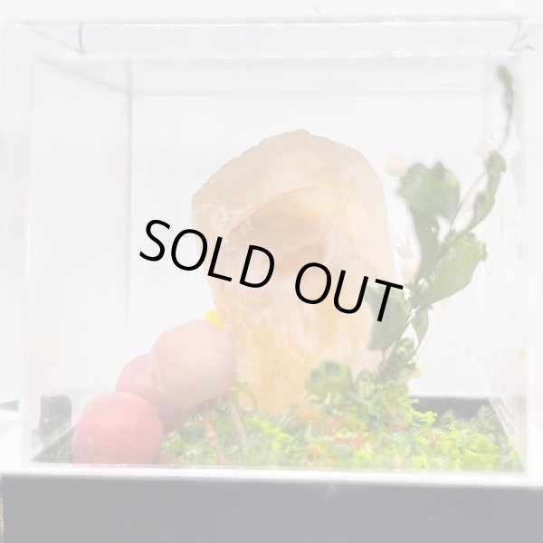 画像2: ジオラマ・オレンジカルサイト (2)